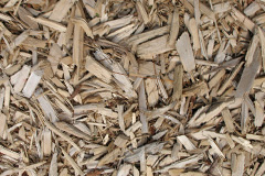 biomass boilers Penmaenmawr